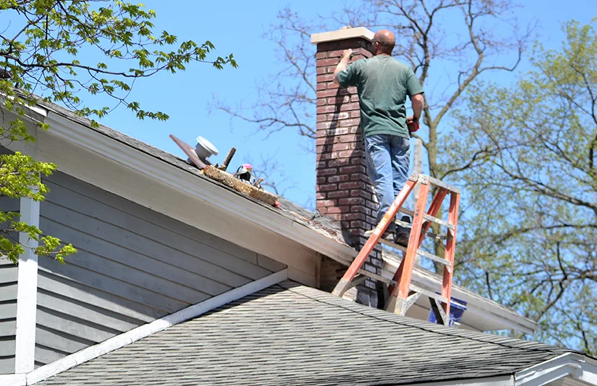 Chimney & Fireplace Inspections Services in Mukilteo, WA