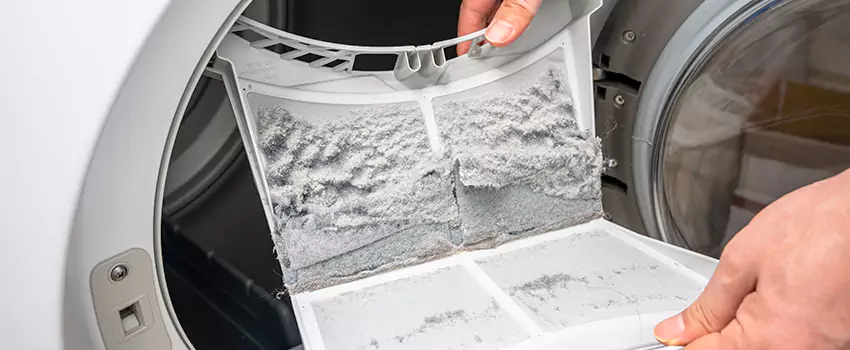 Best Dryer Lint Removal Company in Mukilteo, Washington