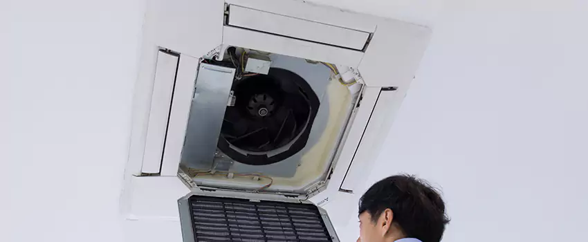 Benefits of Professional Air Duct Cleaning in Mukilteo, Washington