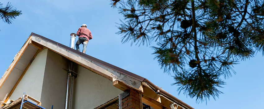 Birds Removal Contractors from Chimney in Mukilteo, WA